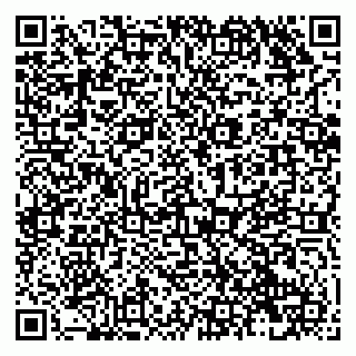 vCard 79138280901