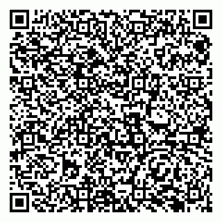 vCard 79138280903