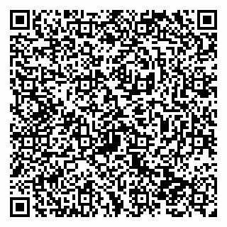 vCard 79138280906