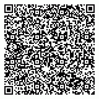 vCard 79138280907