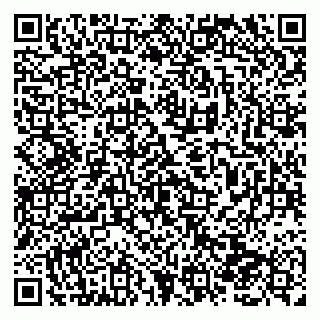 vCard 79138280908