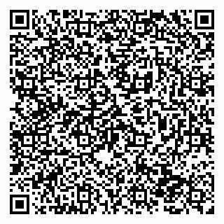 vCard 79138280968