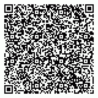 vCard 79138280971