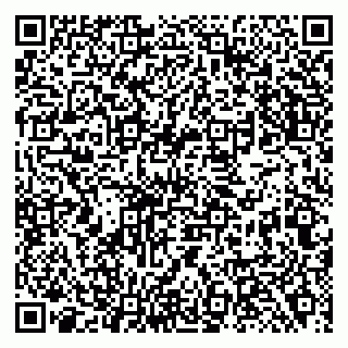 vCard 79138280974
