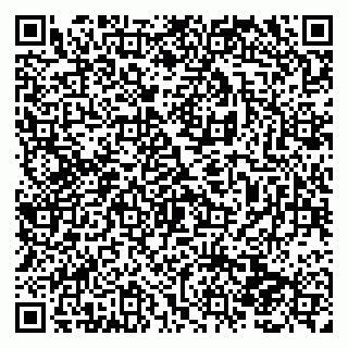 vCard 79138280977