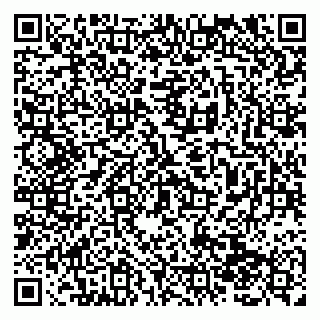 vCard 79138281002