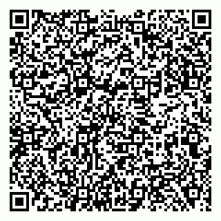 vCard 79138281007