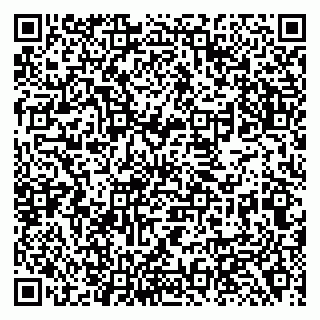 vCard 79138281012