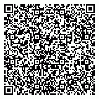 vCard 79138281101