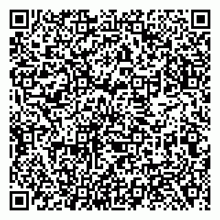 vCard 79138281102