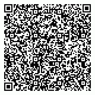 vCard 79138281114