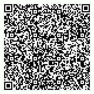 vCard 79138281117