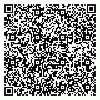 vCard 79138281118