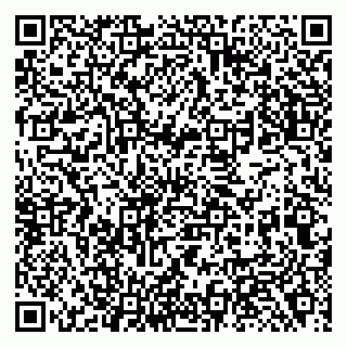 vCard 79138281119
