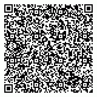 vCard 79138281132