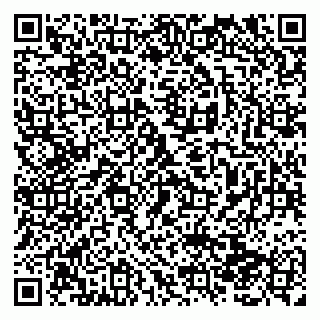 vCard 79138281133