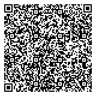 vCard 79138281135