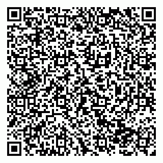 vCard 79138281136