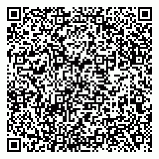 vCard 79138281137