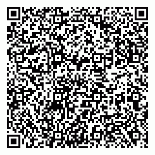 vCard 79138281152