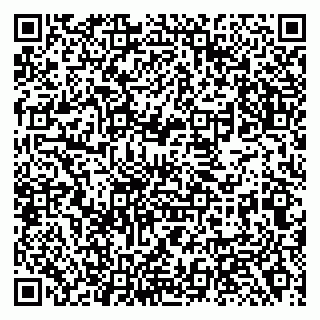 vCard 79138281153