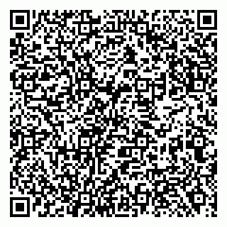 vCard 79138281154