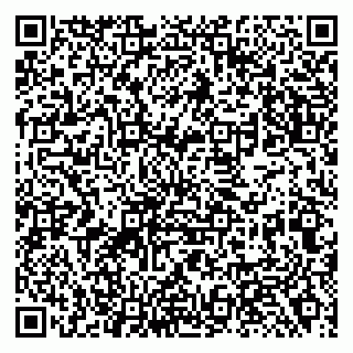 vCard 79138281156