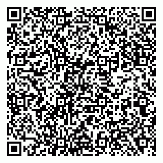 vCard 79138281161