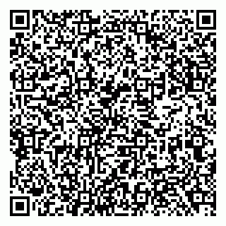 vCard 79138281162