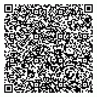 vCard 79138281165