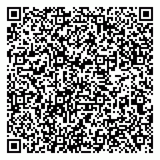 vCard 79138281168