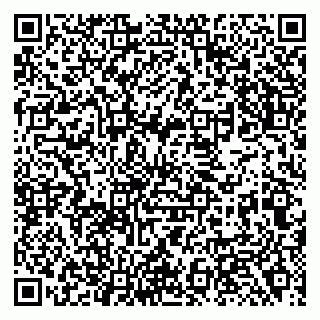 vCard 79138281171