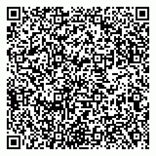 vCard 79138281174