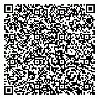 vCard 79138281175