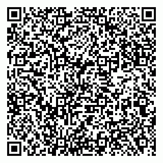 vCard 79138281178