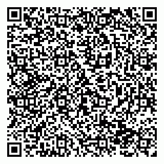 vCard 79138281179