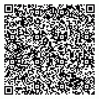 vCard 79138281180