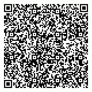 vCard 79138281188