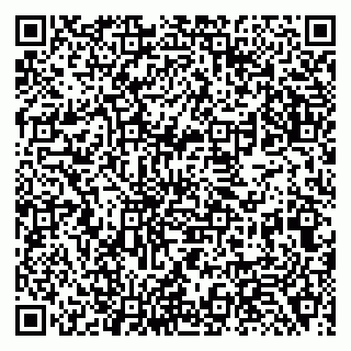 vCard 79138281306