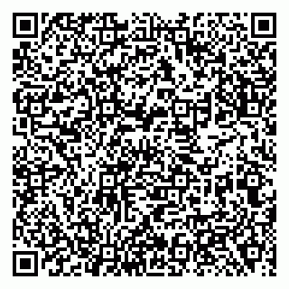 vCard 79138281502