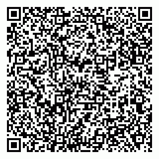 vCard 79138281503