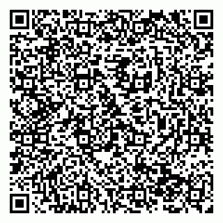 vCard 79138281815