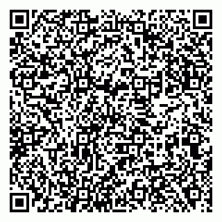 vCard 79138281817