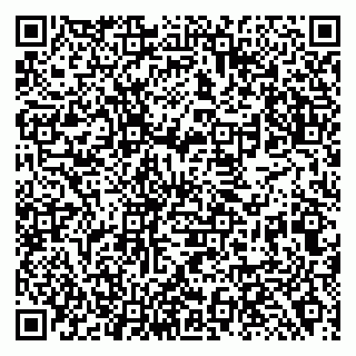 vCard 79138281850