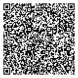 vCard 79138281908