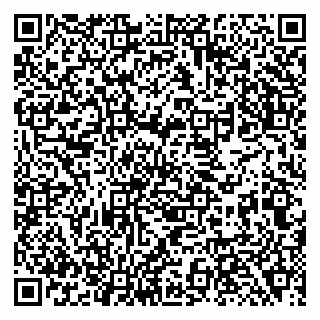 vCard 79138281925