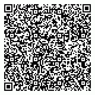 vCard 79138281963