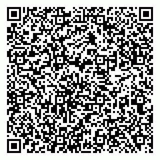 vCard 79138281968