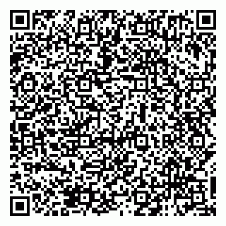 vCard 79138281973
