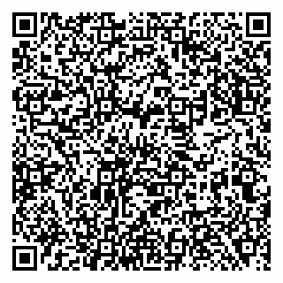 vCard 79138281981